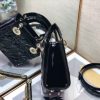 CD Small Lady Bag