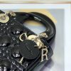 CD Small Lady Bag