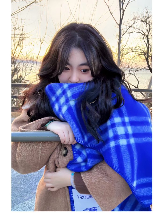 Classic Cashmere 180X30Cm Square Embroidery Scarf Wj-985165 - Image 6